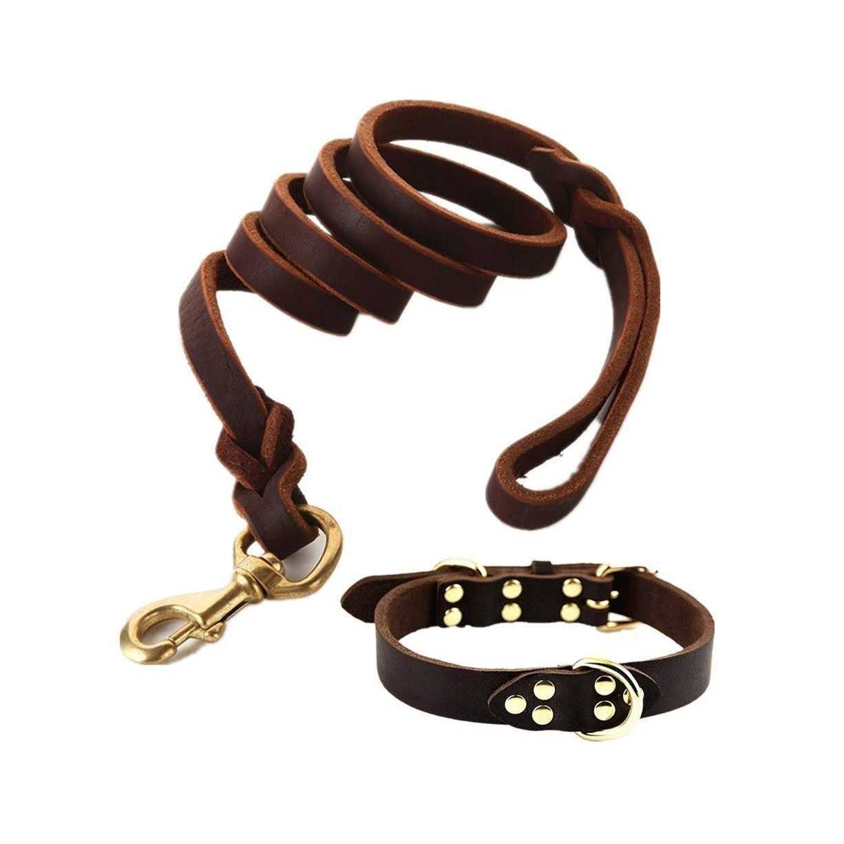 FAIRWIN Leather Dog Leash 6 Foot Braided Heavy Duty Training Leash for Large Medium Small Dogs - Nail Gallerys