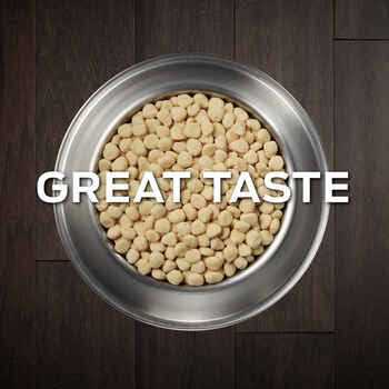 Purina Veterinary Diets HA Hydrolyzed Canine - Nail Gallerys