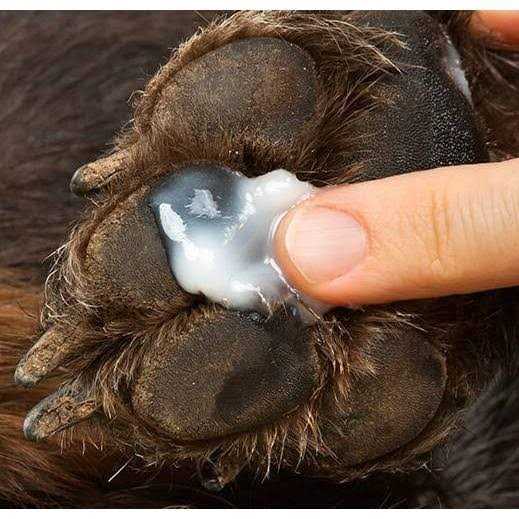 Healers Anti-Itch Hot Spot Relief for Pets with Hydrocortisone - Nail Gallerys