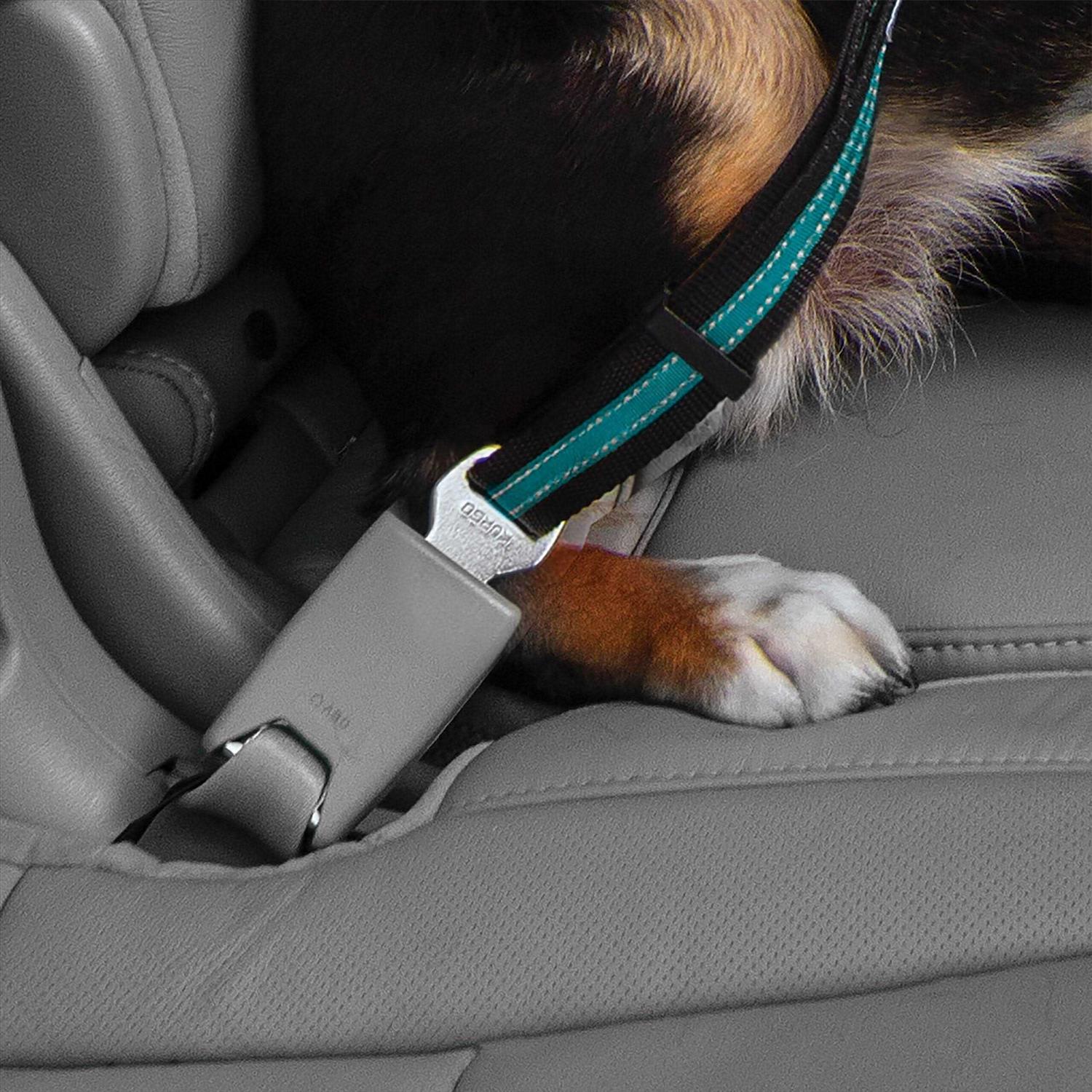 Kurgo Direct to Seatbelt Tether - Nail Gallerys