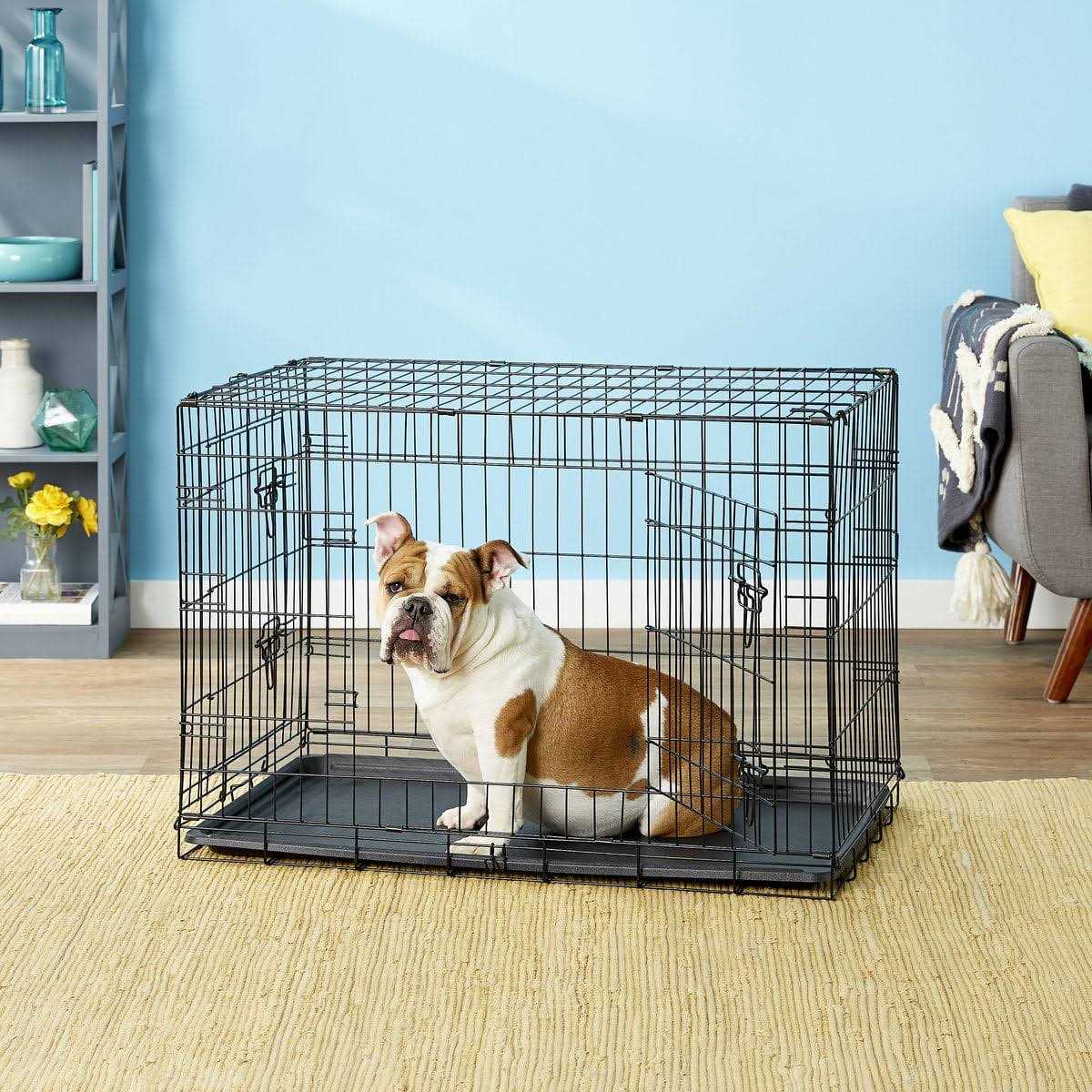 Paws Pals Double-Door Folding Wire Dog Crate - Nail Gallerys