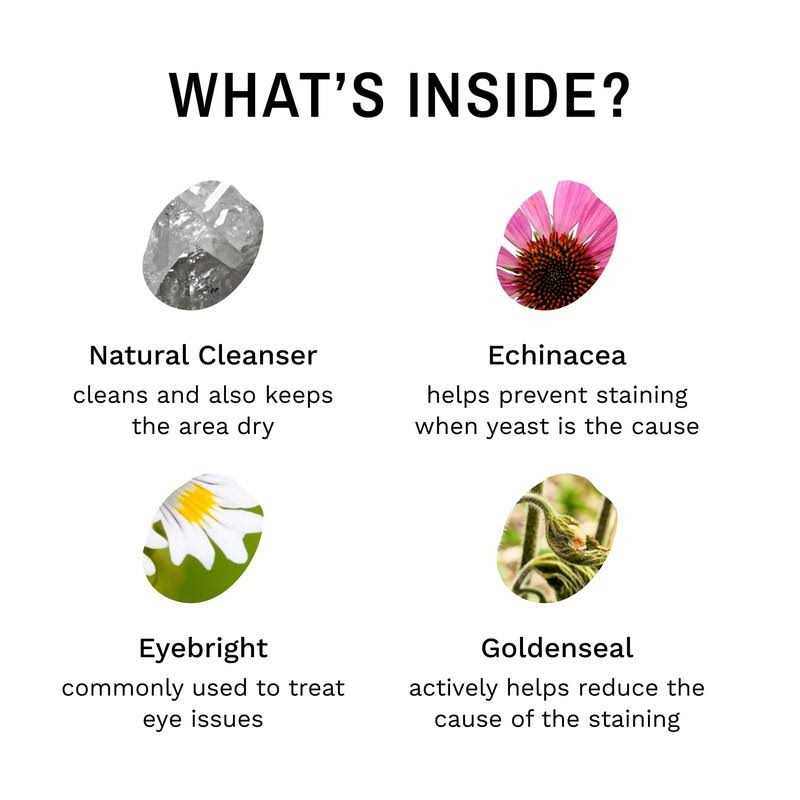 Eye Envy Powder Tear Stain Remover for Dogs & Cats - Nail Gallerys