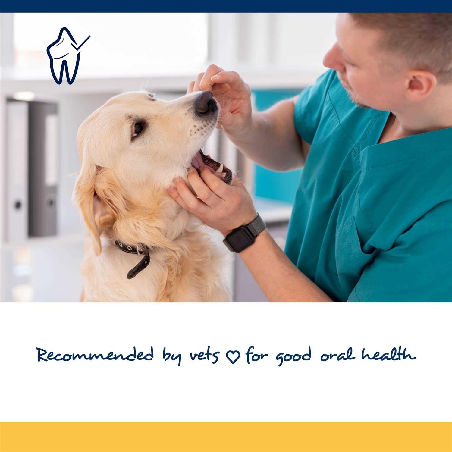 ProDen PlaqueOff Soft Chews Large & Giant Breed Dogs - Nail Gallerys