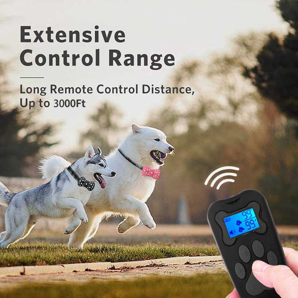 Shock collar for 2 Dogs, Rechargeable Electric Dog Training collar, 3000Ft Remote Range Dog Training collar with Beep Vibration and Shock - Nail Gallerys