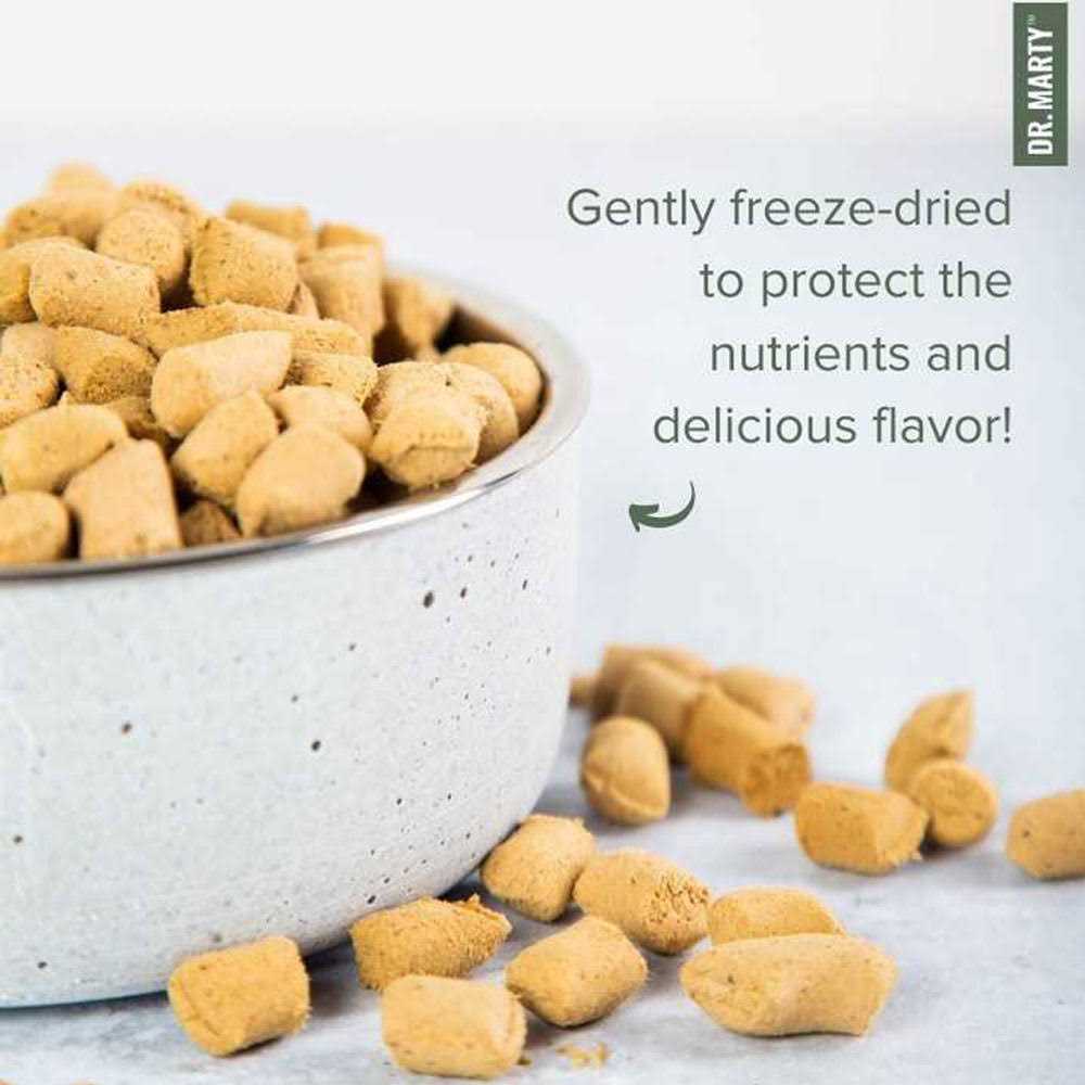 Dr. Marty Freeze Dried Raw Nature’s Blend Small Breed Dog Food - Nail Gallerys