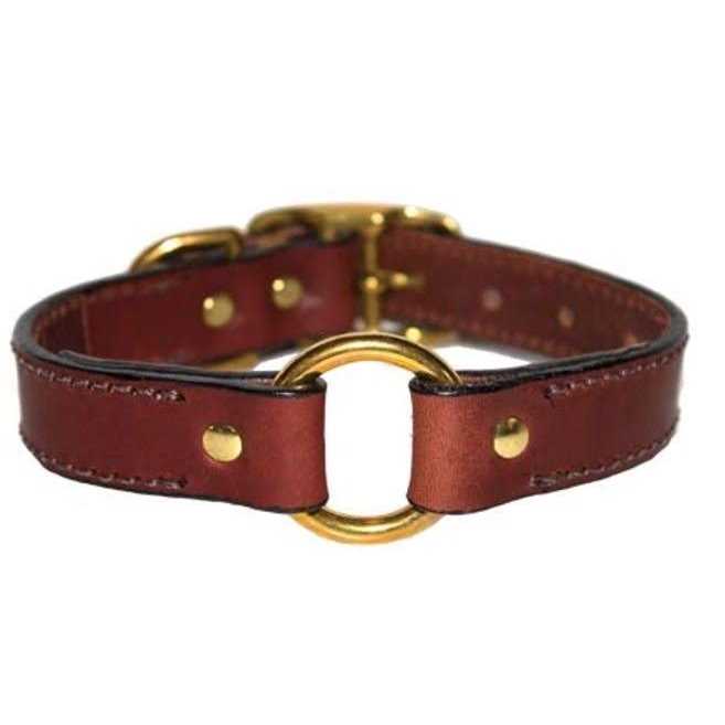 Leather Dog Collar with Nameplate - Nail Gallerys