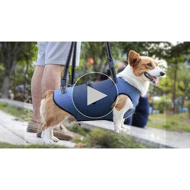 Coodeo Dog Lift Harness Support & Recovery Sling Pet Rehabilitation Lifts Vest Adjustable Breathable Straps for Old - Nail Gallerys