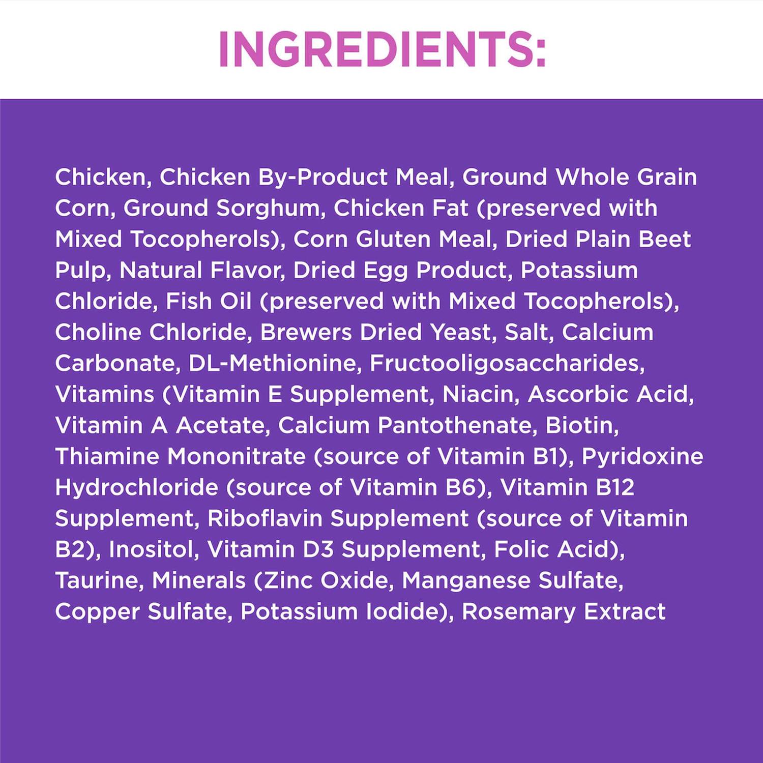 Iams ProActive Health Dry Kitten Food - Nail Gallerys