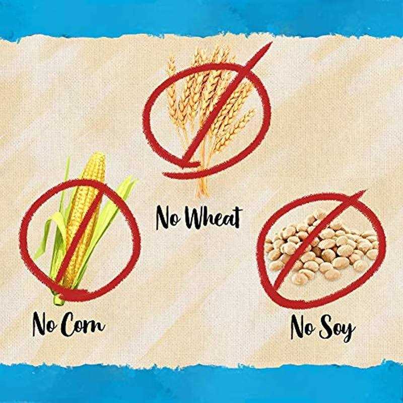 Blue Dog Bakery Perfect Trainers Chicken & Cheese Dog Treats - Nail Gallerys