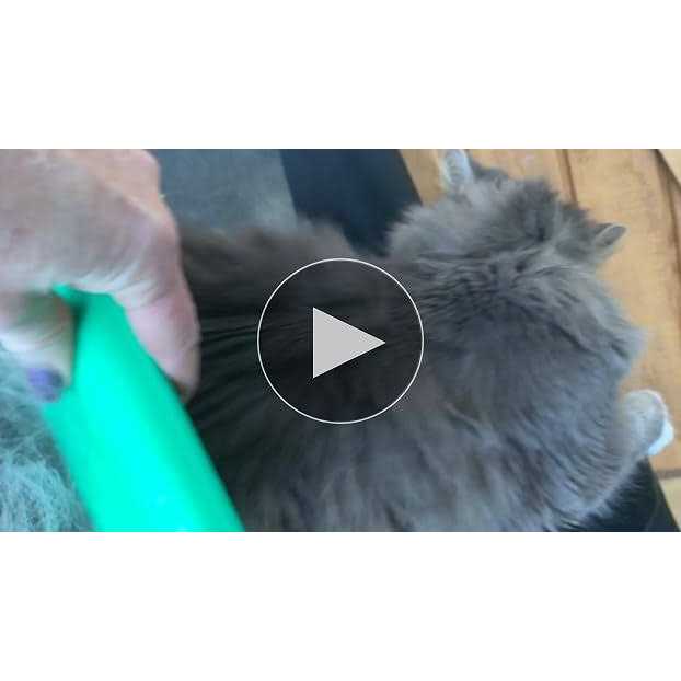 Sleekez Original Deshedding Grooming Tool for Dogs Cats & Horses Undercoat Brush for Short & Long Hair - Nail Gallerys