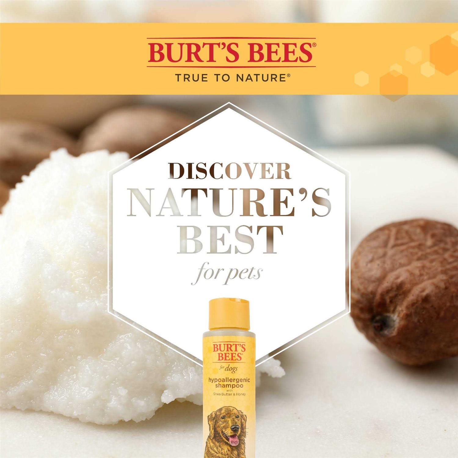 Burt’s Bees Shampoo - Nail Gallerys