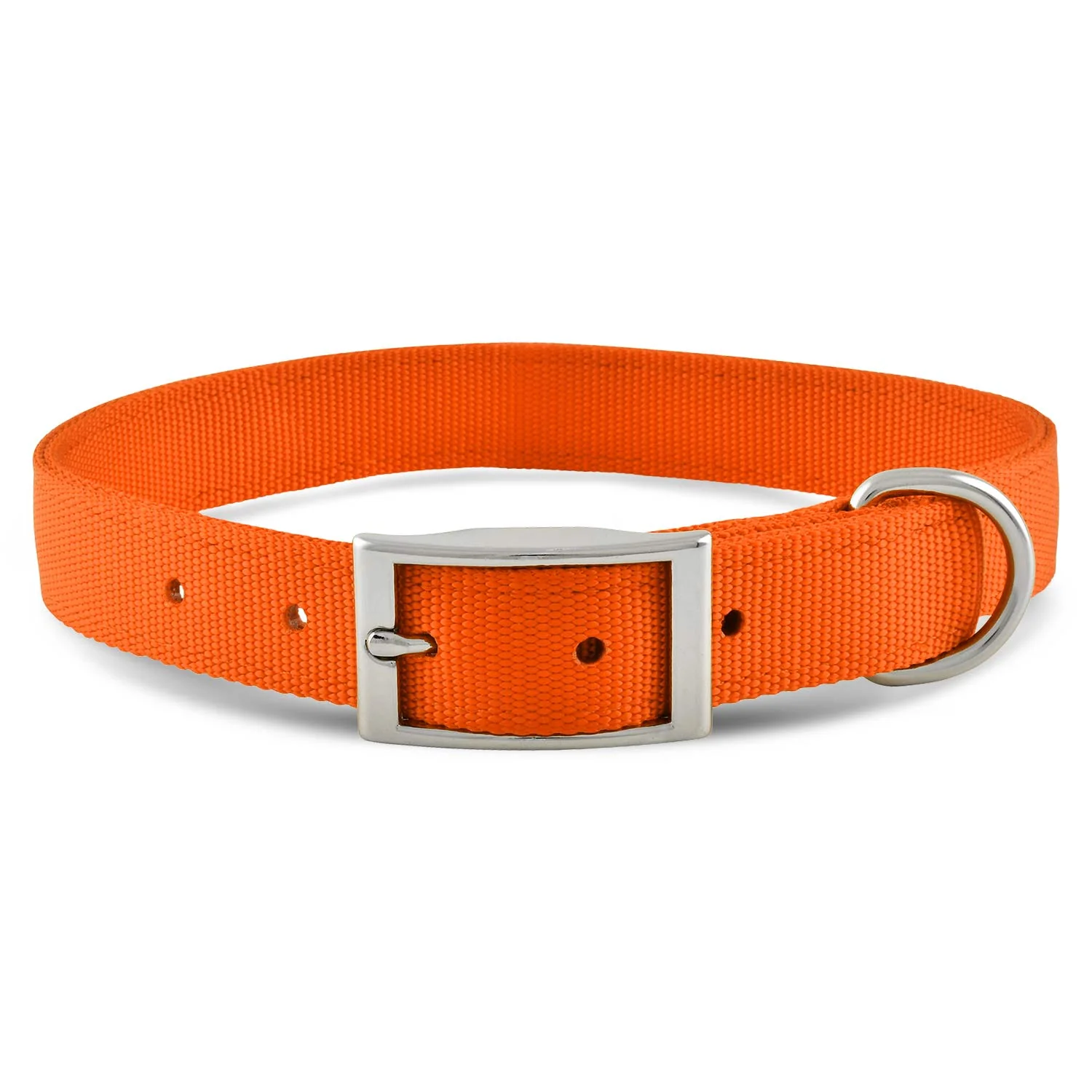 Solid Web Nylon Dog Collar, 1