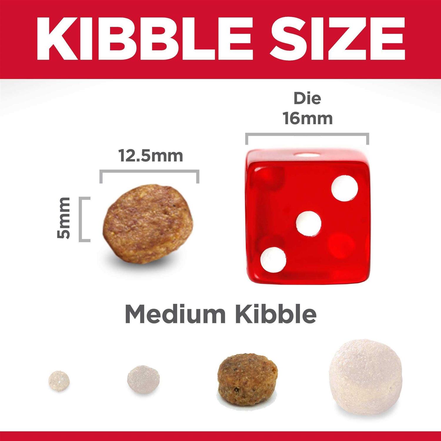 Hill’s Science Diet Adult 7+ Senior Vitality Chicken & Rice Recipe Dog Food - Nail Gallerys