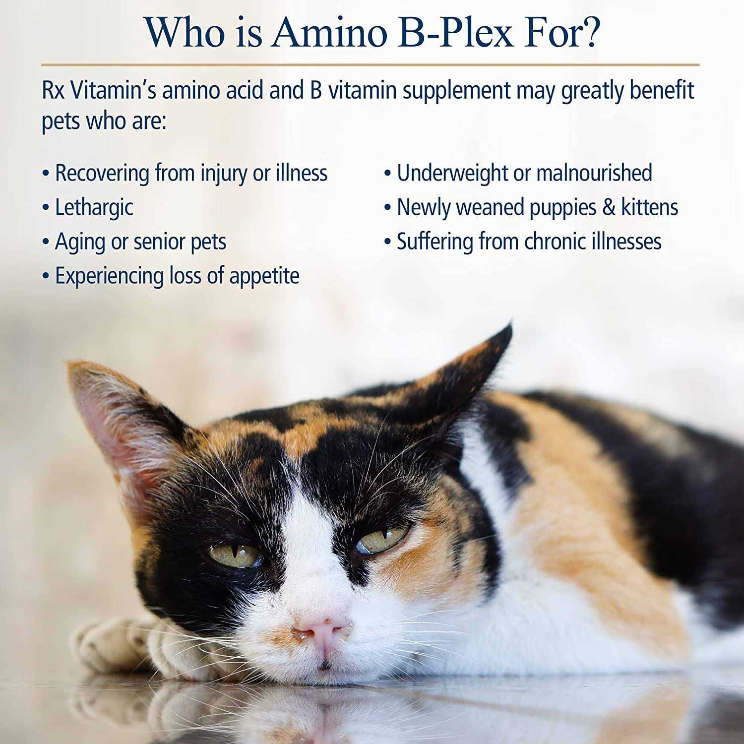 Rx Vitamins Amino B Plex for Pets - Nail Gallerys