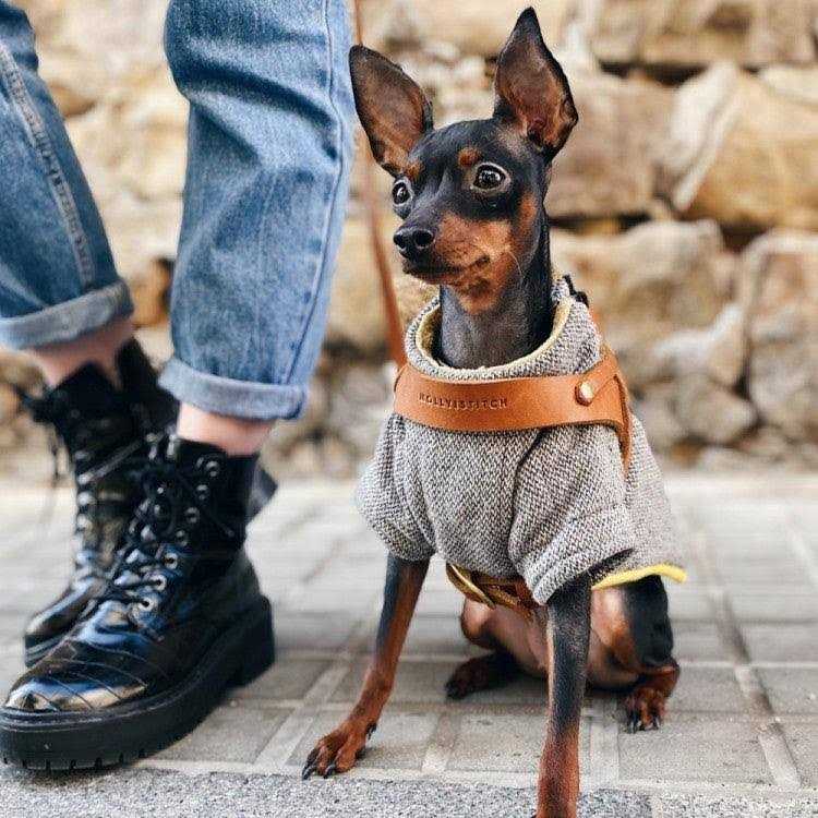 Butter Leather Dog Harness Molly And Stitch US - Nail Gallerys