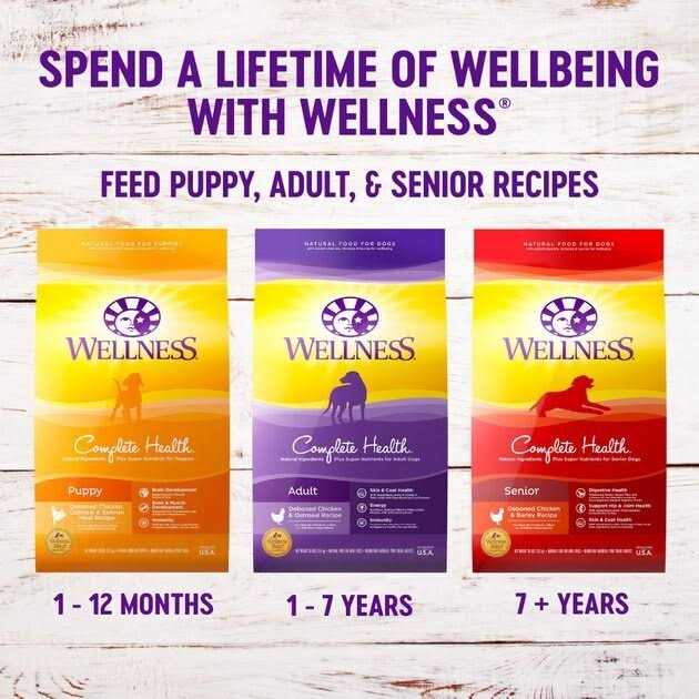 Wellness Complete Health Large Breed Puppy Dry Dog Food - Nail Gallerys