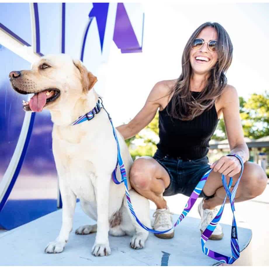 Wolfgang Dog Collar - Nail Gallerys