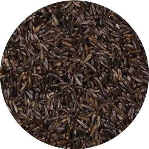 Wagner’s Nyjer Seed Wild Bird Food - Nail Gallerys