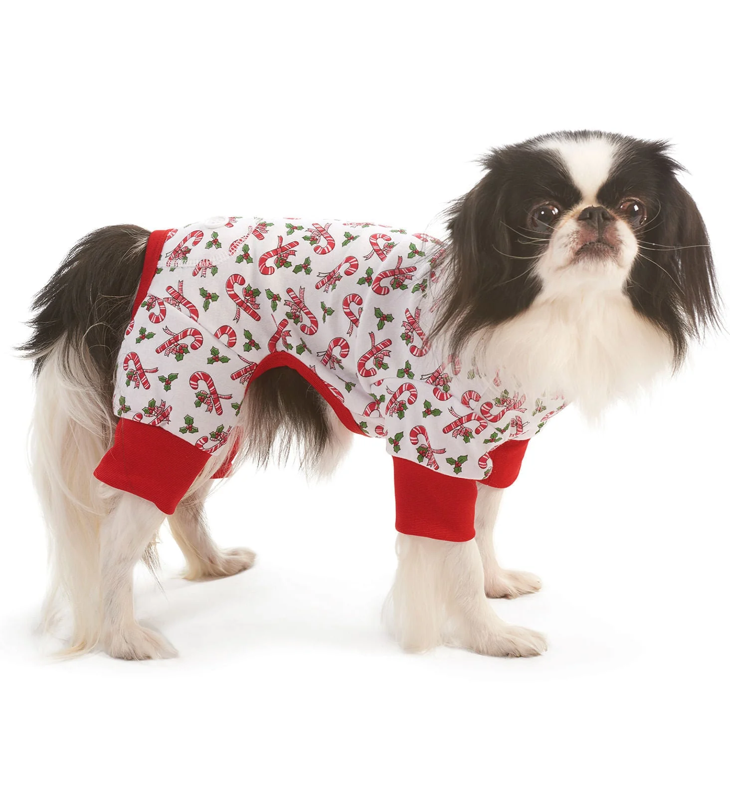 Dog Christmas Pajamas, Candy Cane - Nail Gallerys