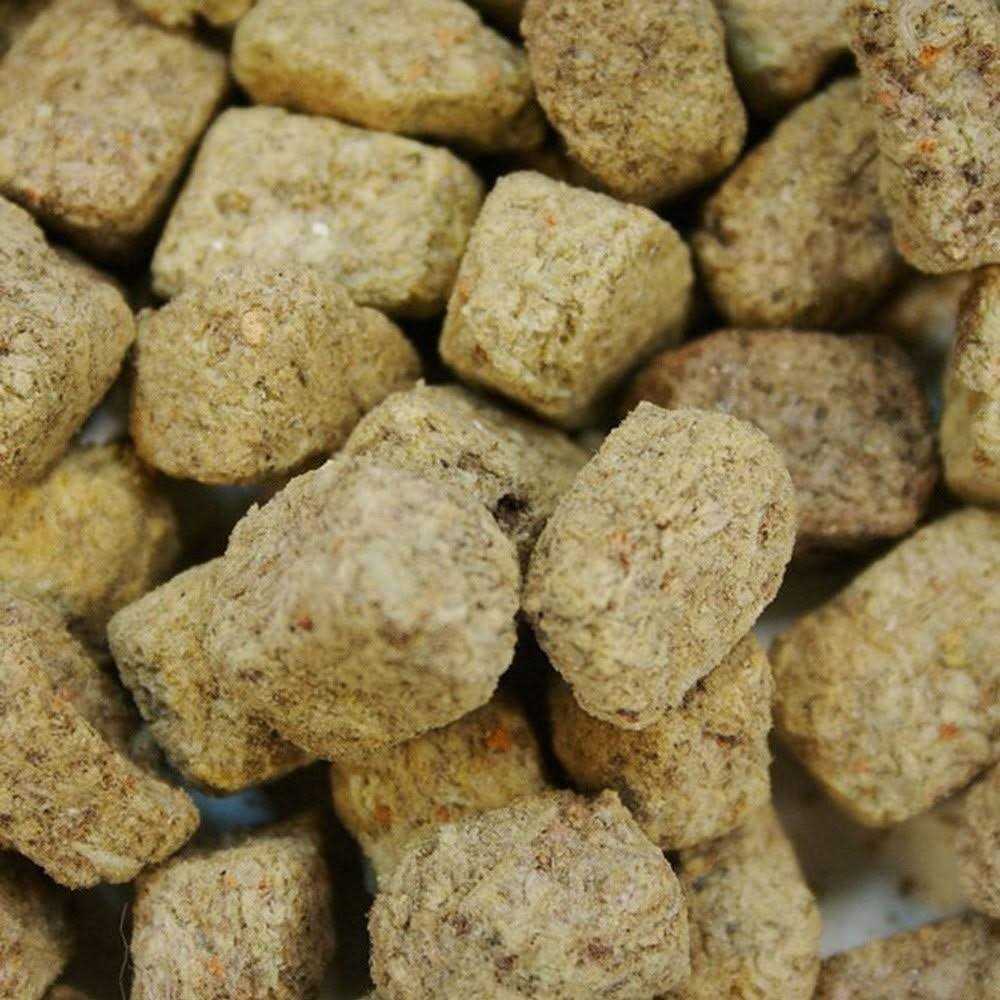 Omega One Freeze Dried Brine Shrimp - Nail Gallerys