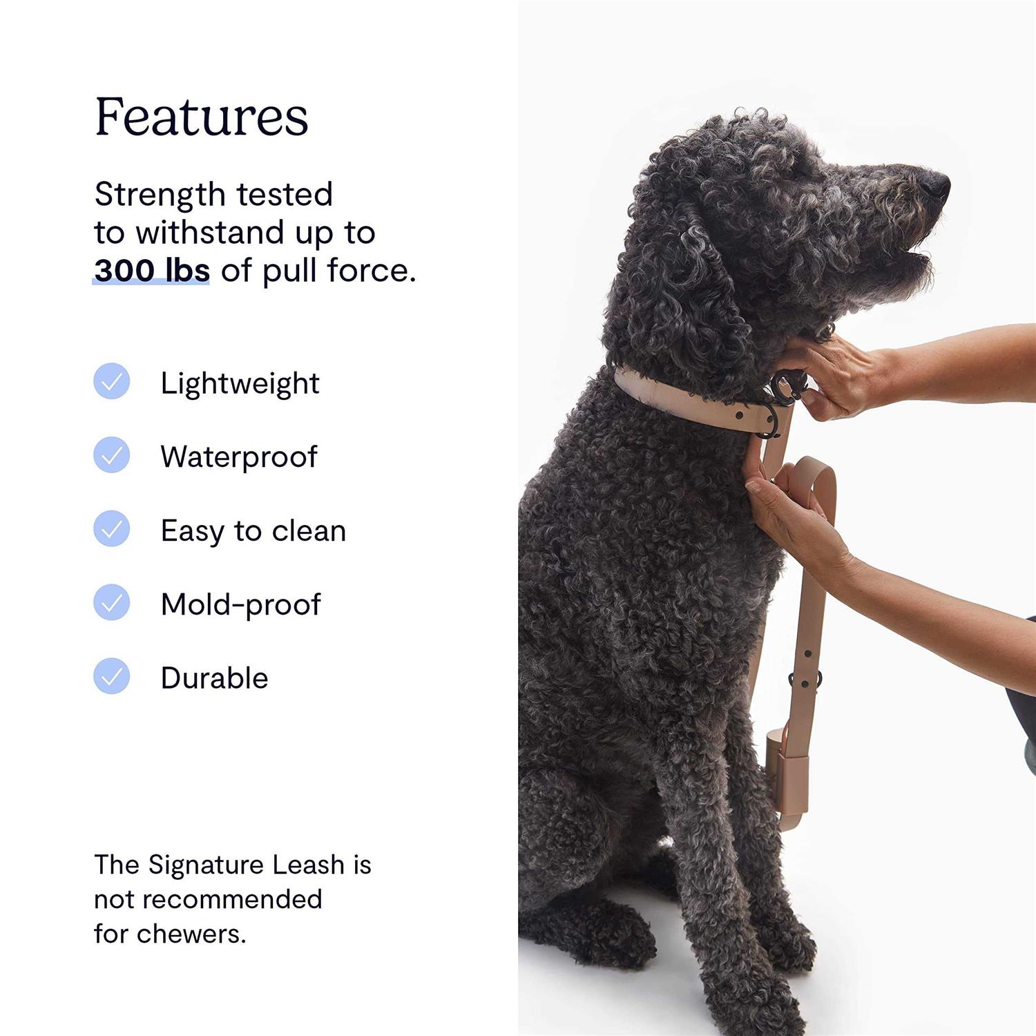 Fable Pets Signature Dog Leash - Nail Gallerys