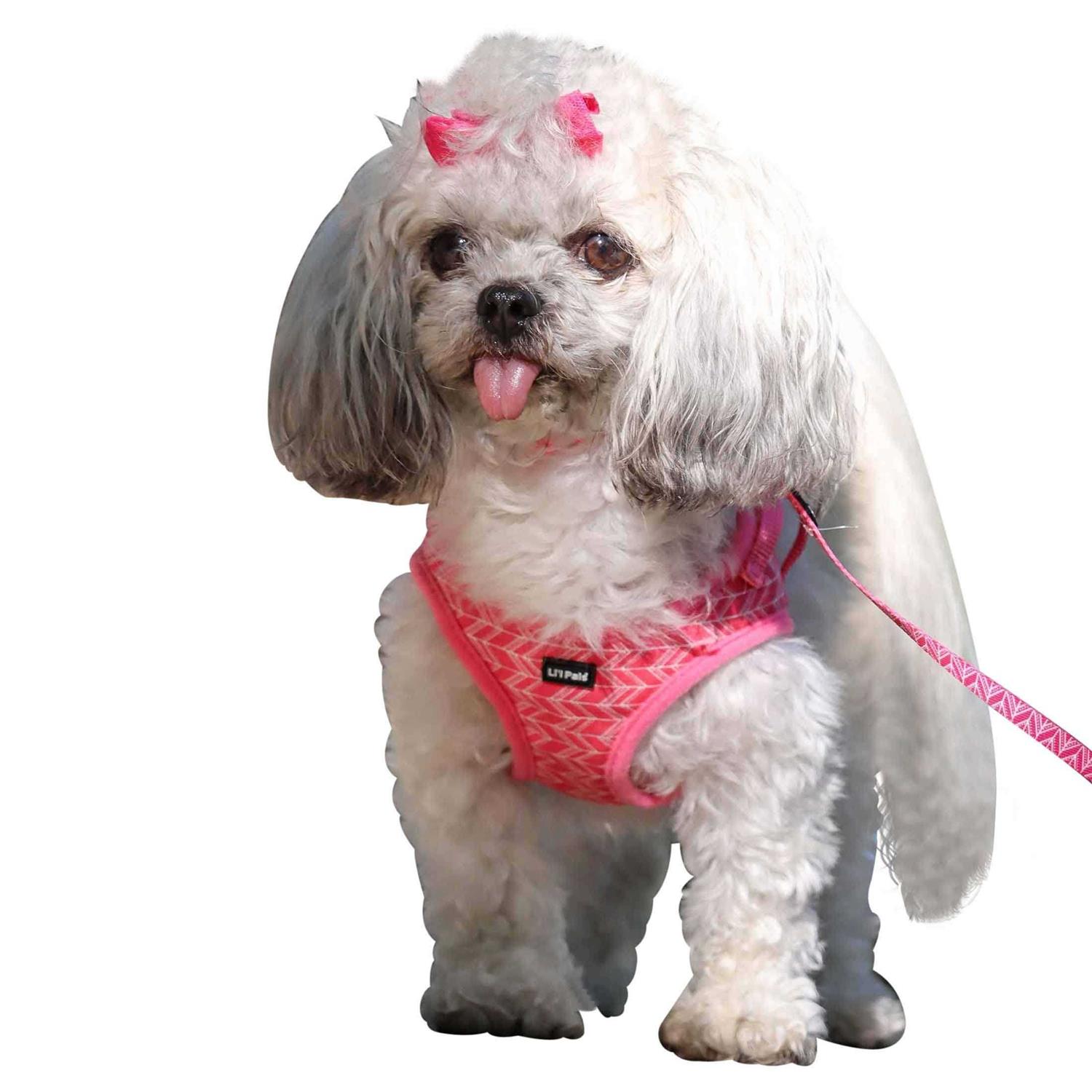 Lil’ Pals Canvas Dog Harness - Nail Gallerys