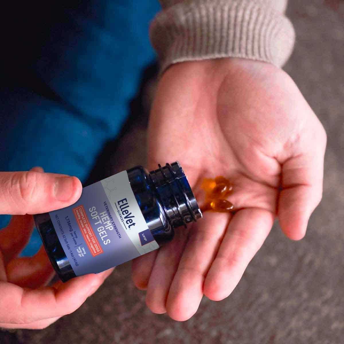 Hemp Oil For Mobility Calming & More Dogs - Nail Gallerys