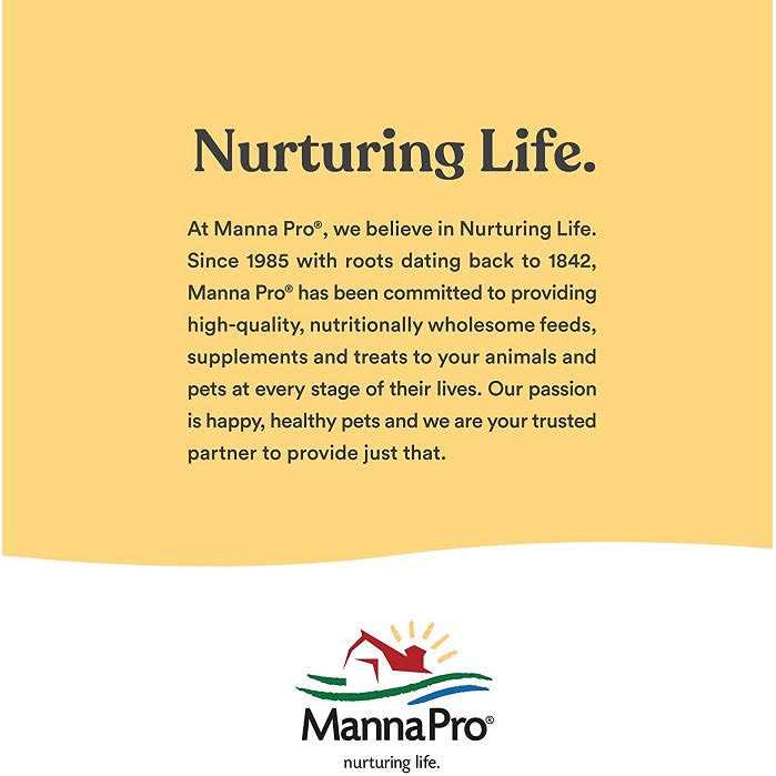 Manna Pro Hen Healer Multi-Purpose Ointment - Nail Gallerys