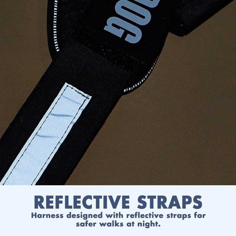 PawPawify Lifetime Warranty Personalized Easy-On No Pull Dog Harness - Nail Gallerys