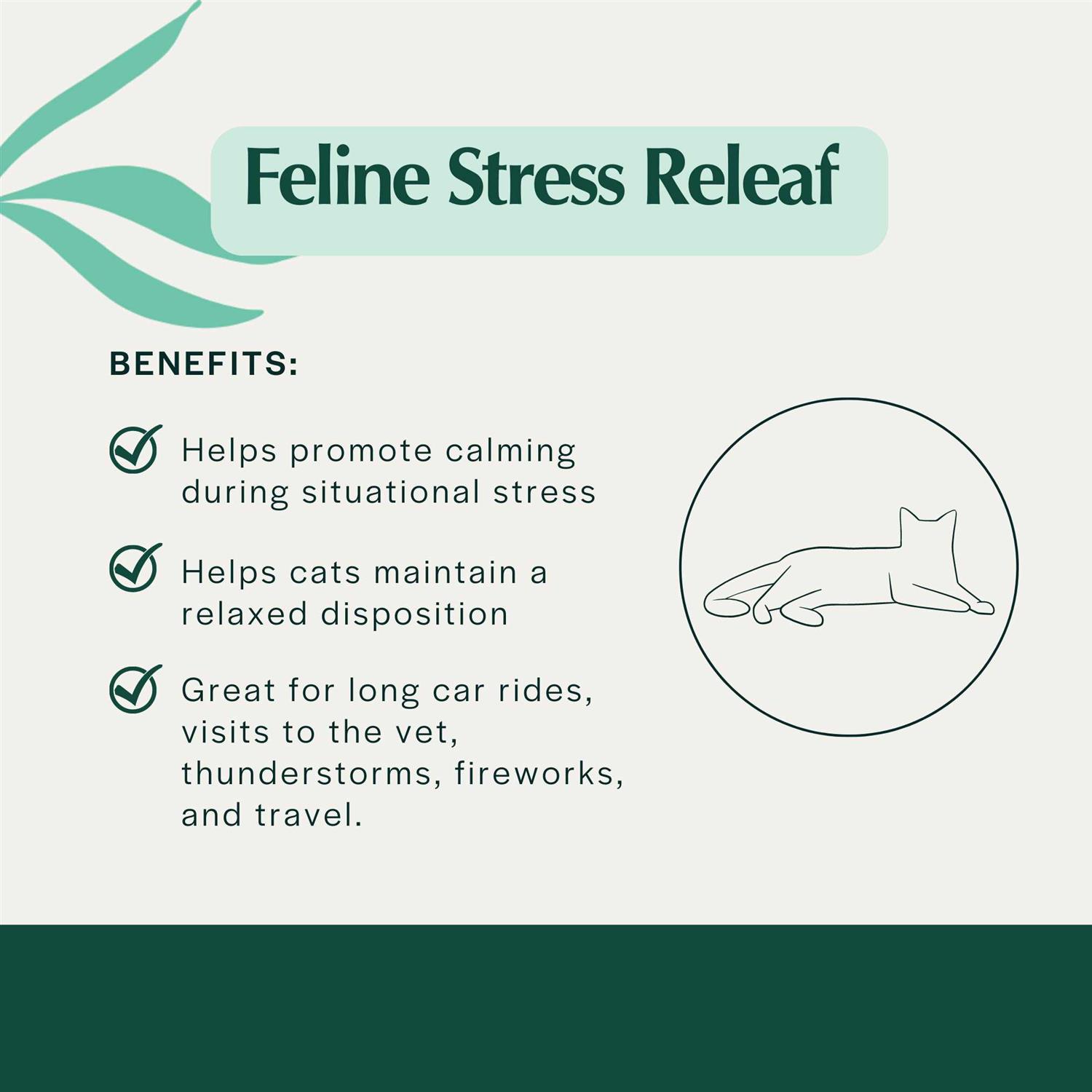 Pet Releaf Feline Stress Releaf Organic Oil for Cats - Nail Gallerys