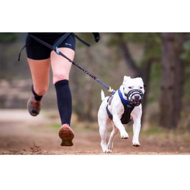 Mayerzon Dog Muzzle, Basket Breathable Silicone Dog Muzzle for Anti-Barking and Anti-Chewing - Nail Gallerys