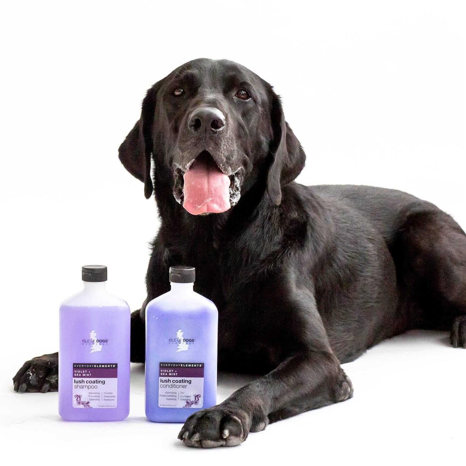 Isle of Dogs Everyday Violet & Sea Mist Lush Coating Shampoo For Dogs - Nail Gallerys