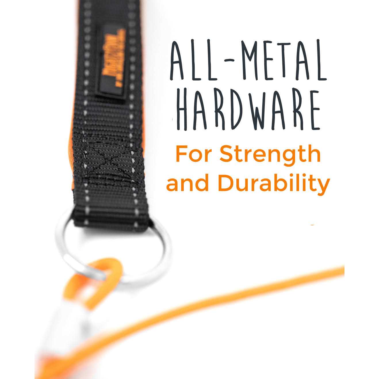 Mighty Paw Chew Proof Dog Leash Metal Cable Chew - Nail Gallerys