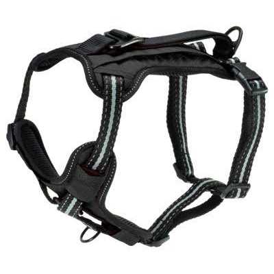 PetSafe 3 in 1 Harness with Two Point Control Leash - Nail Gallerys