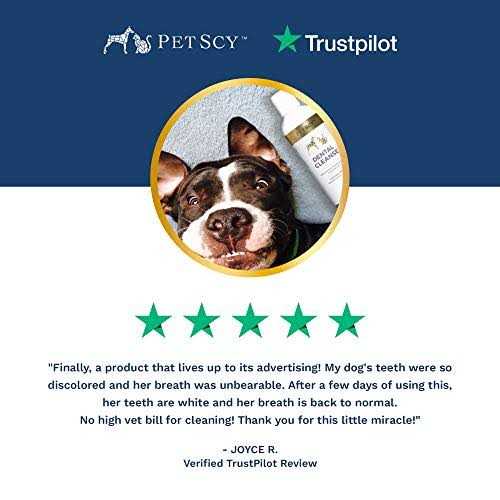 PetScy Dental Cleanse for Dogs & Cats - Nail Gallerys