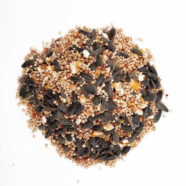 Wagner’s Classic Wild Bird Food - Nail Gallerys