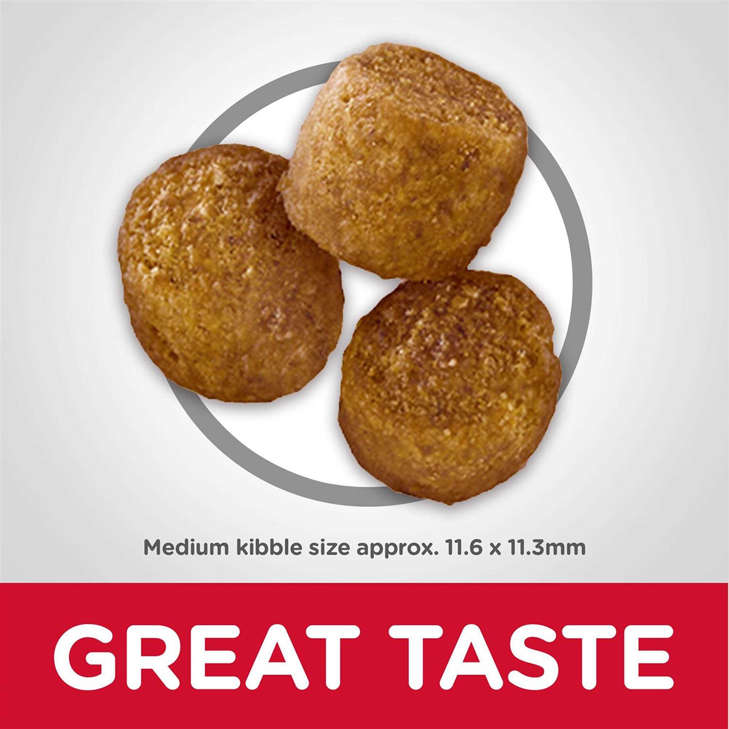 Hill’s Science Diet Adult Perfect Weight Chicken Dog Food - Nail Gallerys