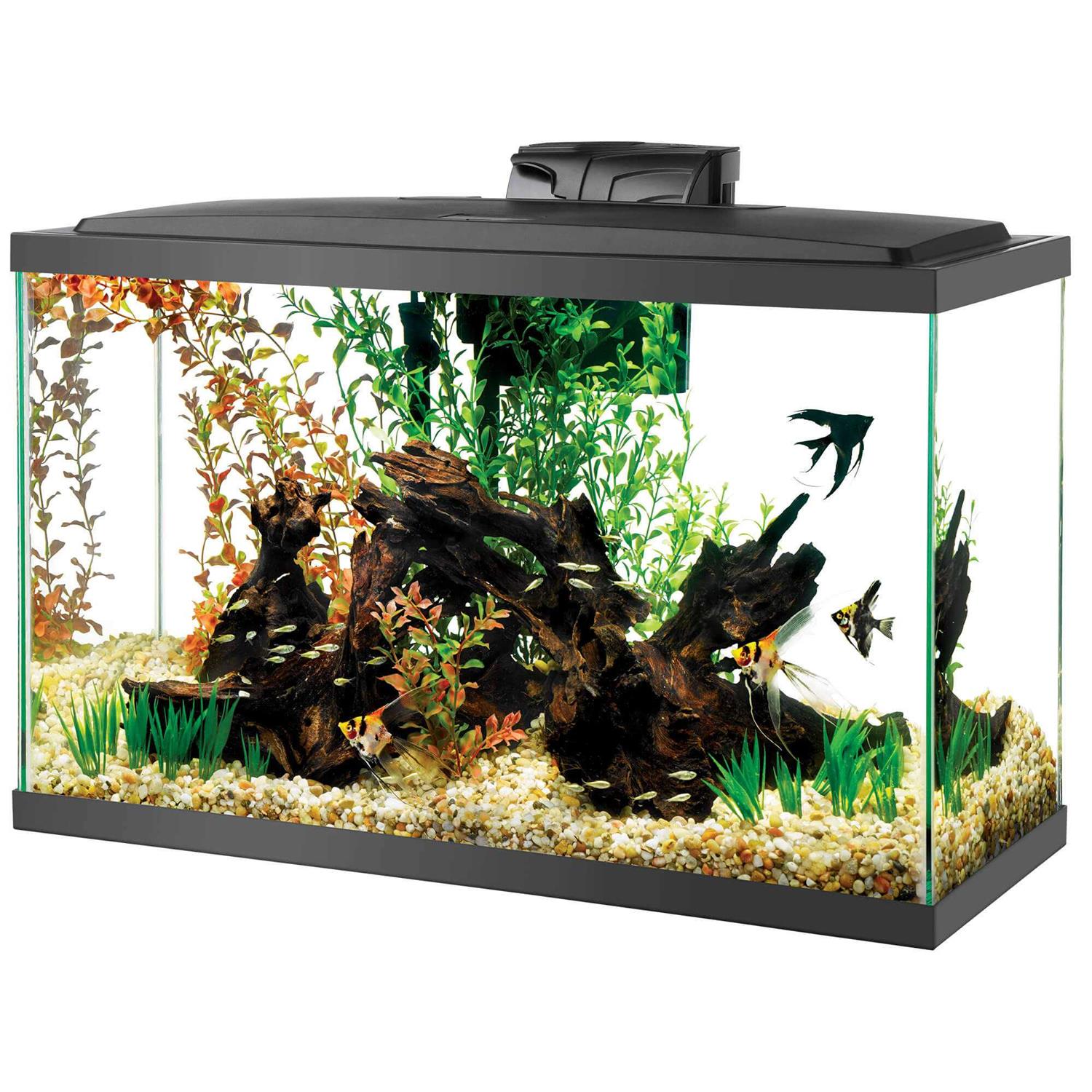Aqueon Aquarium Kit LED - Nail Gallerys