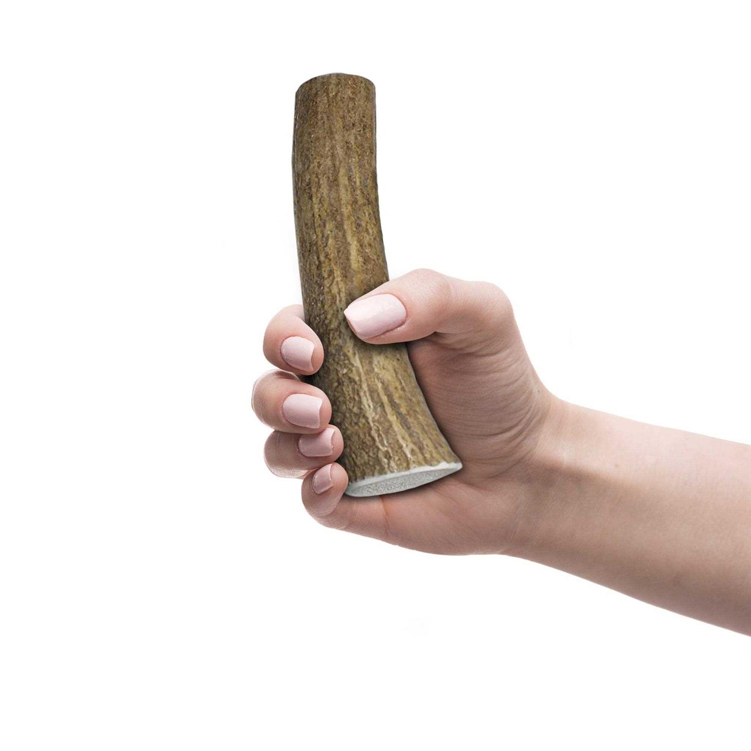 K9warehouse Elk Antlers for Dogs Made in USA - Nail Gallerys