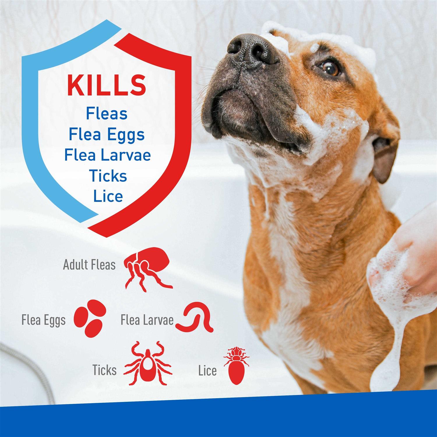Adams Plus Flea Tick Shampoo - Nail Gallerys
