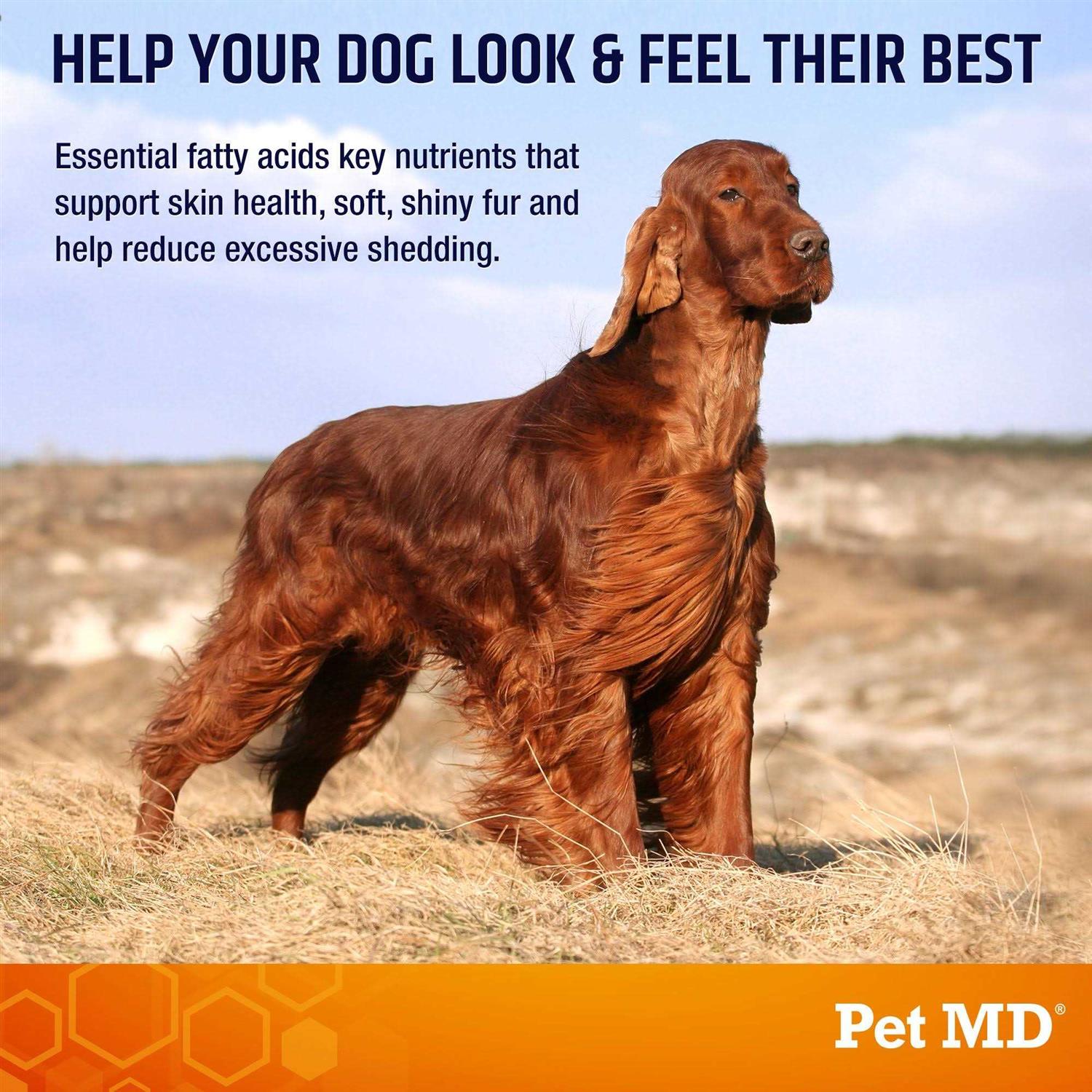 Pet MD Salmon Omega Soft Chew Bites for Dogs 120ct - Nail Gallerys