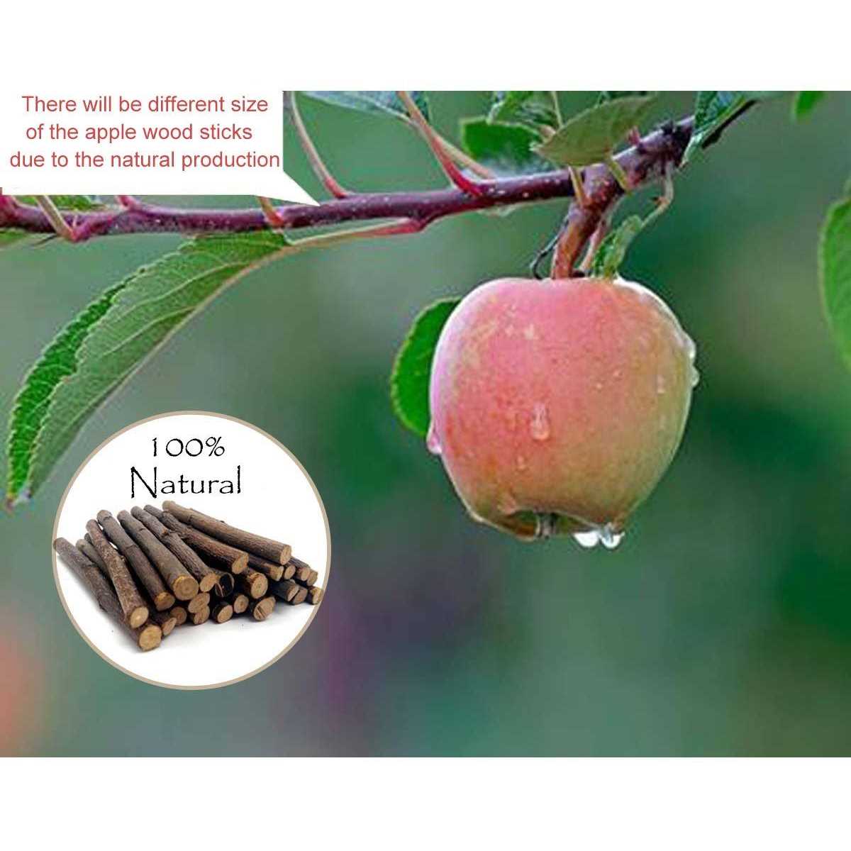 500g Organic Apple Sticks for Rabbits Wood Tree Branches Pet Snacks Chew Toys Branch for Guinea Pigs Chinchilla Squirrel Bunny Hamster Small Animals - Nail Gallerys