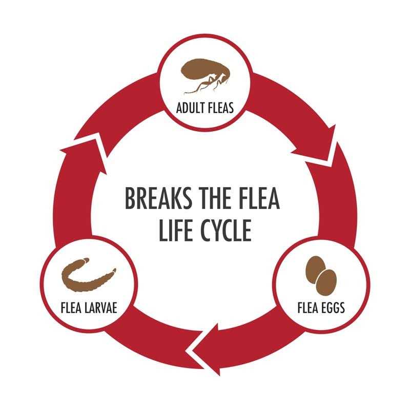 Advecta Topical Treatment for Dogs - Nail Gallerys