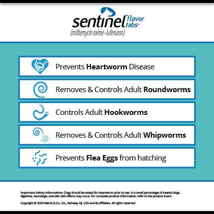 Sentinel Flavor Tabs for Dogs - Nail Gallerys