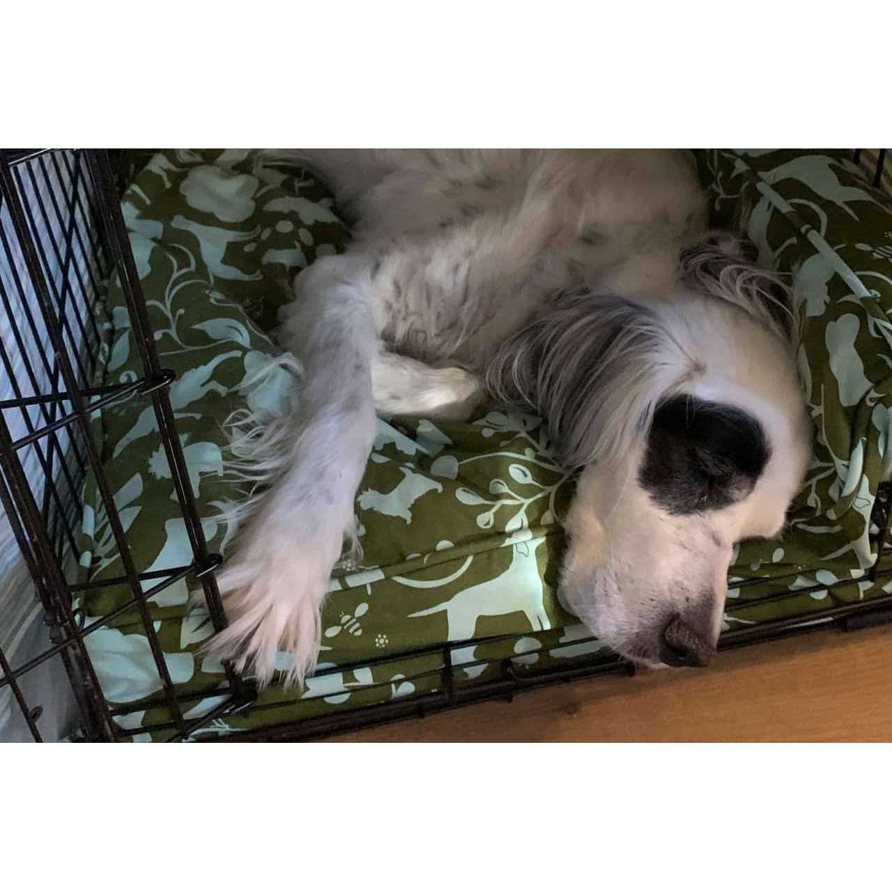 Molly Mutt Wool-Filled Dog Crate Pad - Nail Gallerys