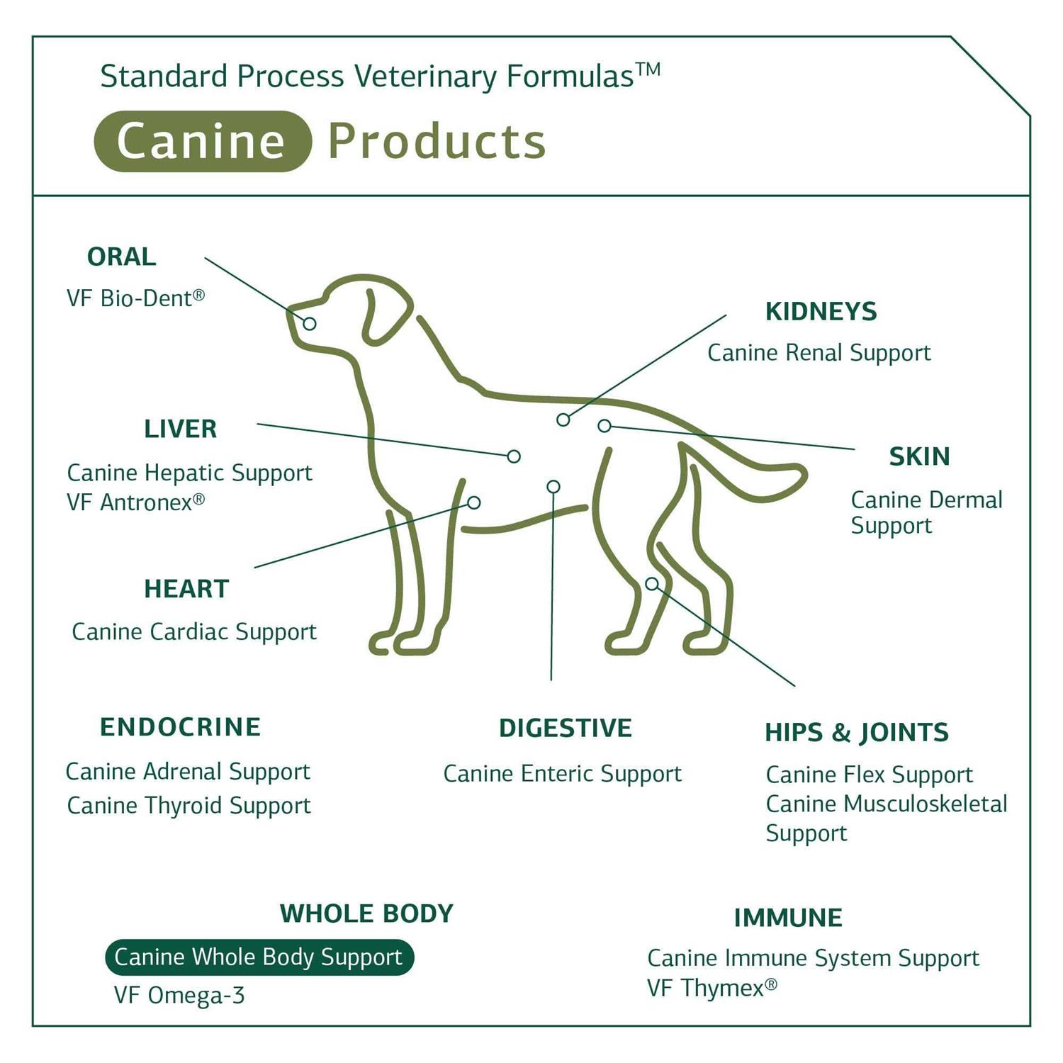 Standard Process Canine Whole Body Support - Nail Gallerys