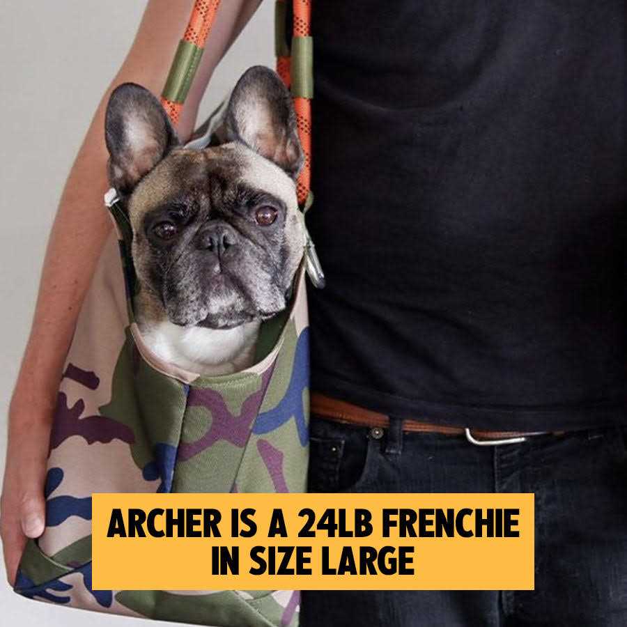 Roverlund Out-and-About Pet Tote - Nail Gallerys