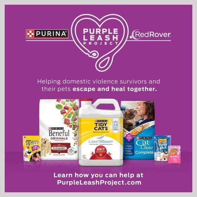 Purina Friskies Natural Grain Free Senior Broth Wet Cat Food Complement Lil’ Soups Skipjack Tuna - Nail Gallerys