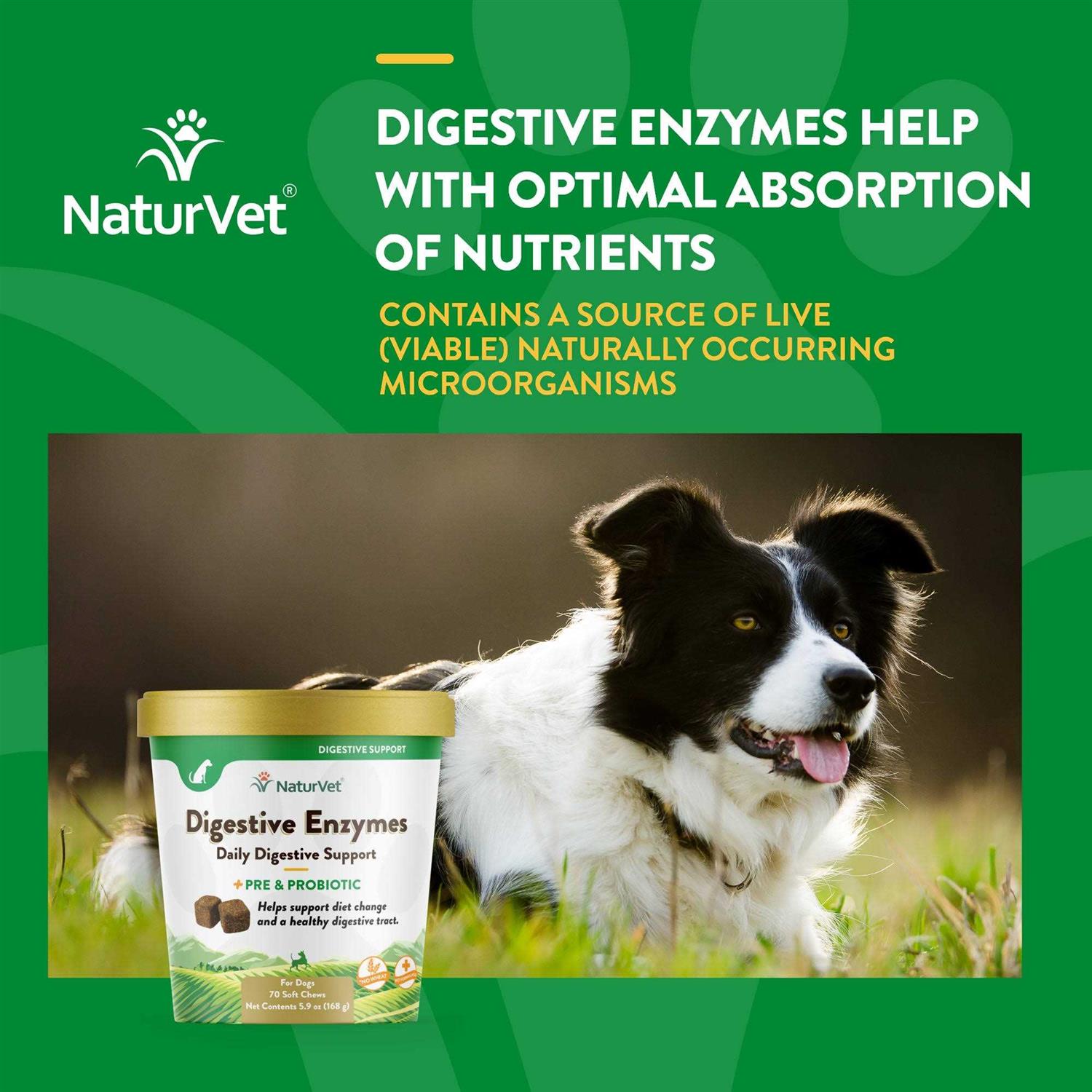 NaturVet Digestive Enzymes - Nail Gallerys