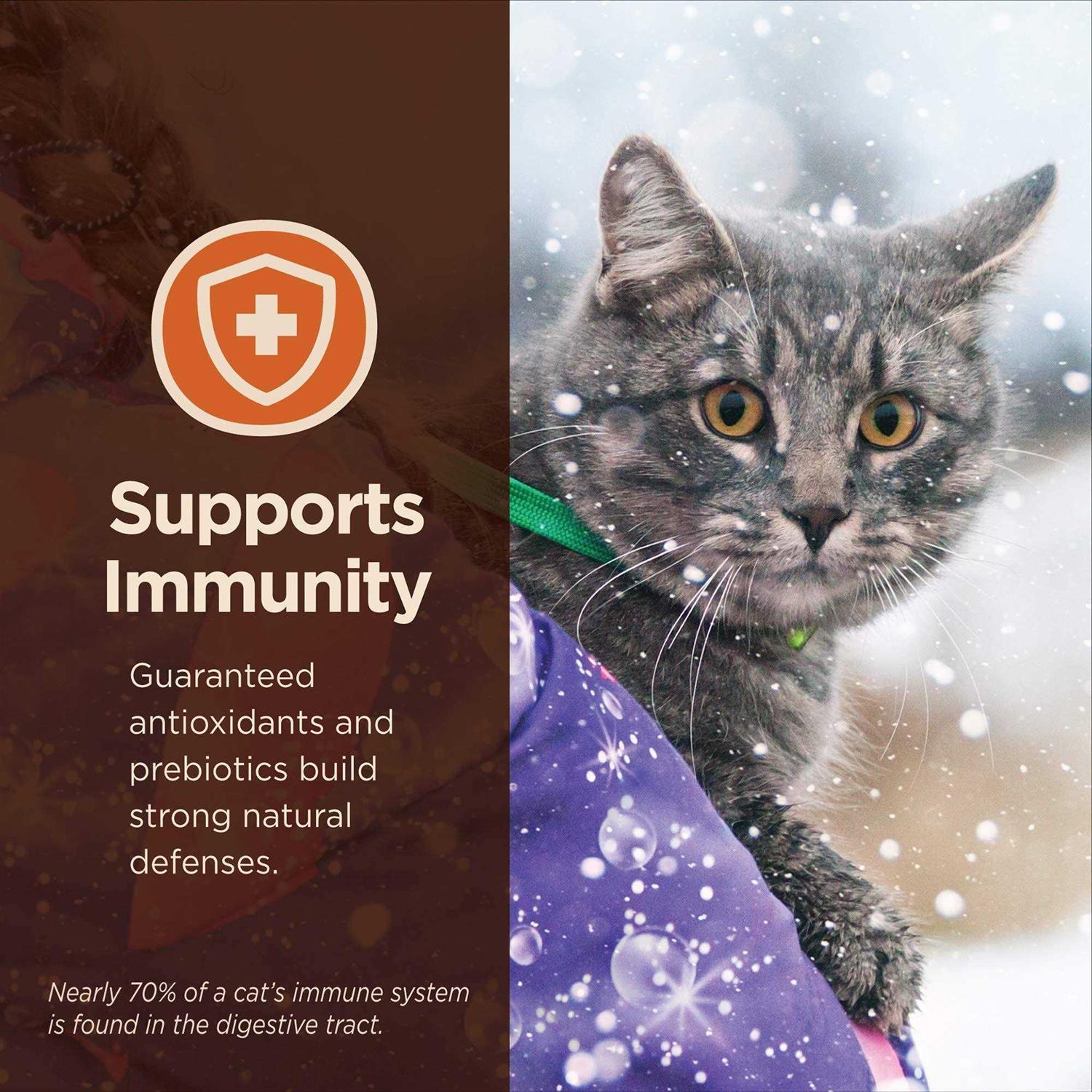 Wellness CORE Digestive Health Salmon & Whitefish Pate Variety Pack Wet Cat Food - Nail Gallerys